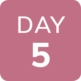 day5